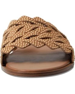 Fitn Shoe -Fitn Shoe 71hl9c5rFL. AC SR736920 1